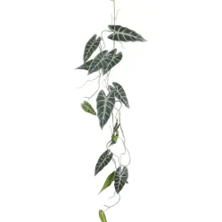 Alocasia hangend groen 115 cm
