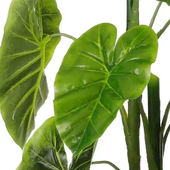 Alocasia in pot 100 cm