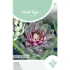 Artisjok Violet De Provence