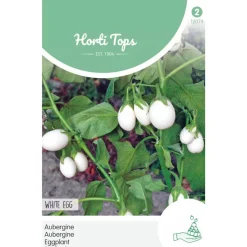 Aubergine white Eggs