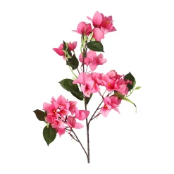 Bloem Bougainvillea fuchsia 76 cm