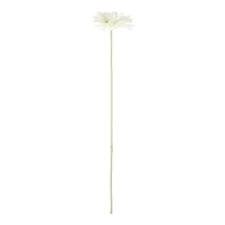 Bloem Gerbera wit 55 cm