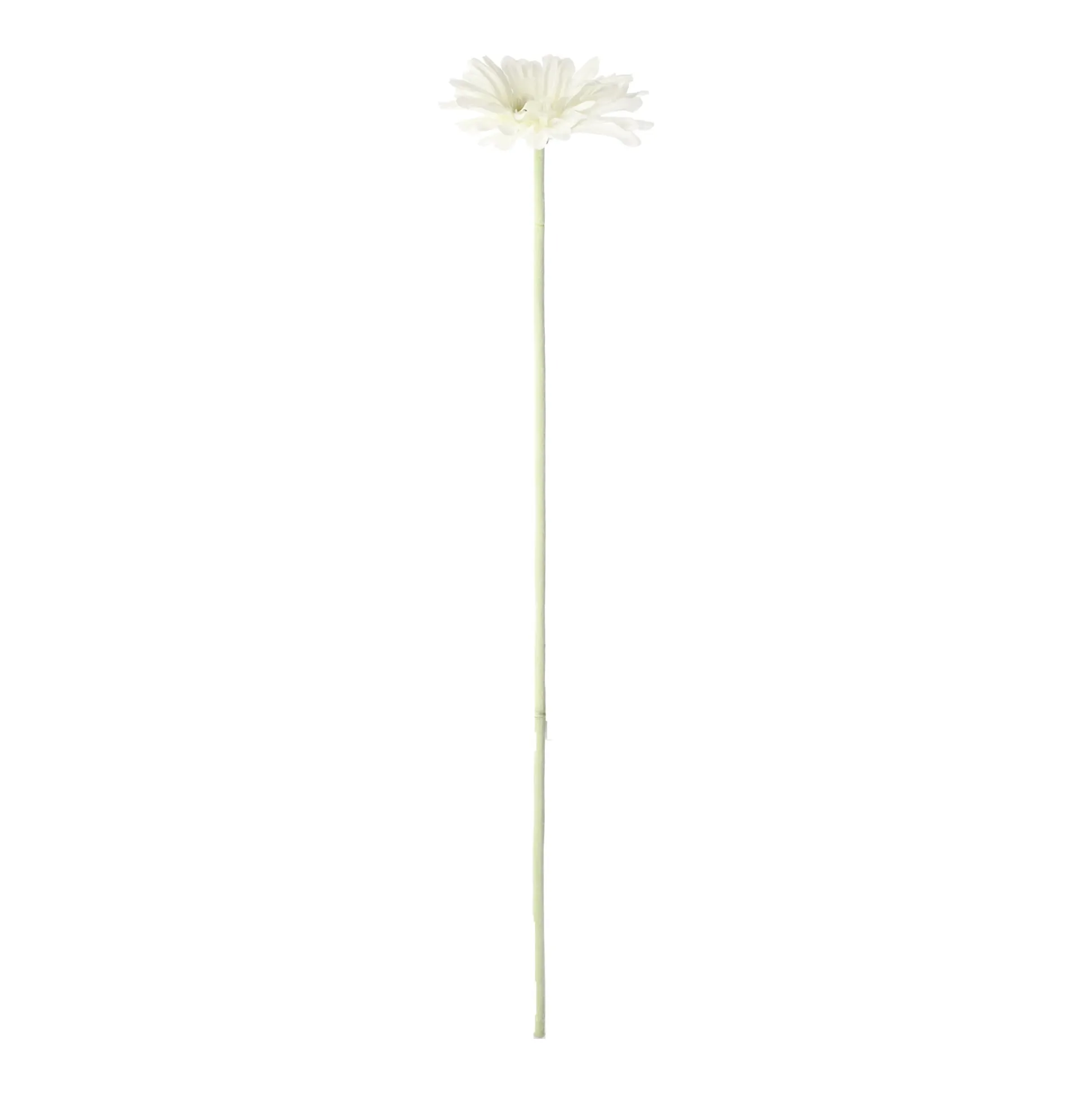 Bloem Gerbera wit 55 cm