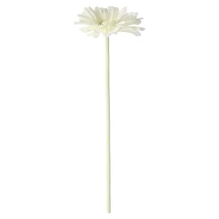 Bloem Gerbera wit 55 cm