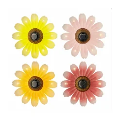 Bloem solar 14 cm