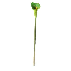 Calla enkel 67 cm groen