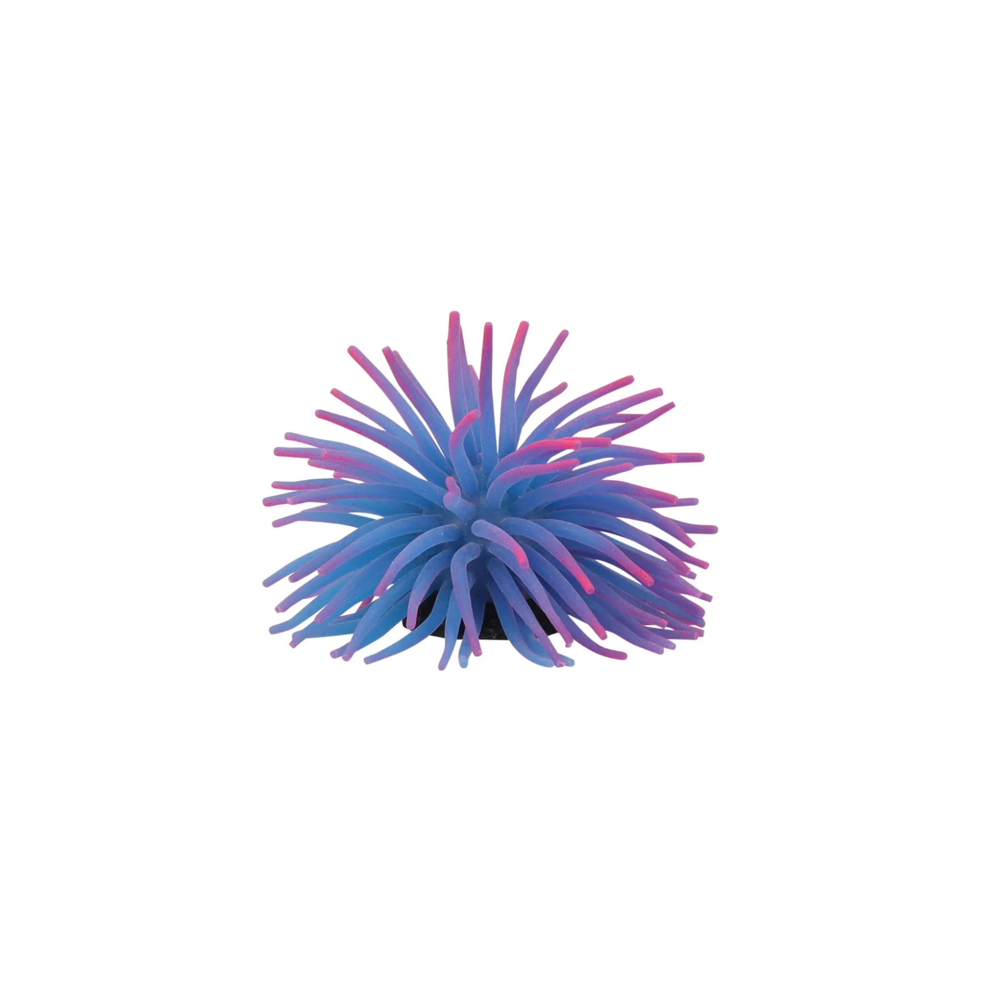 Deco aqua anemoon M