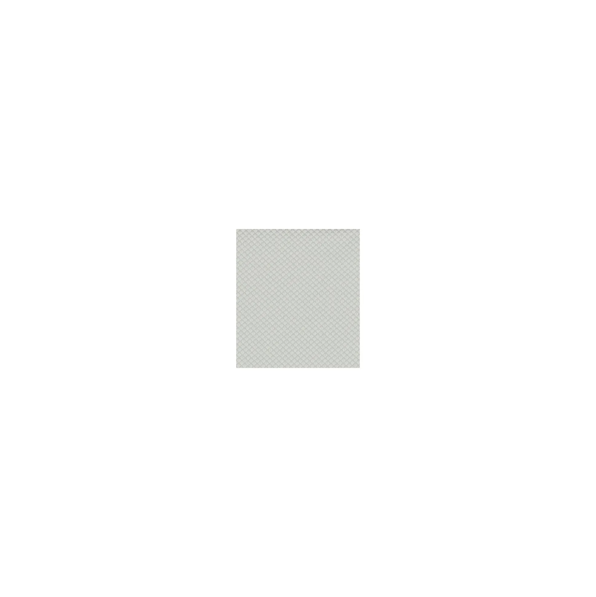 Doek glas 30x40cm RS019 Nevac