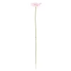 Gerbera roze 50 cm