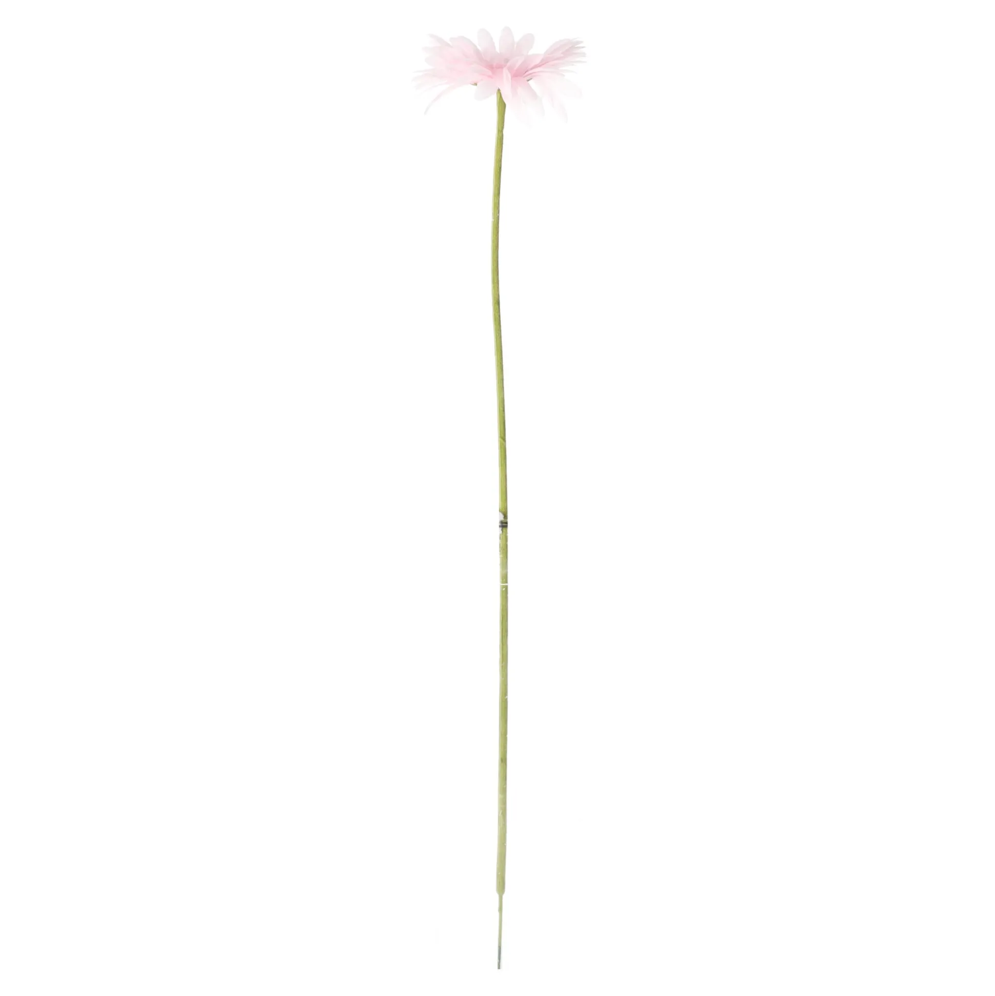 Gerbera roze 50 cm