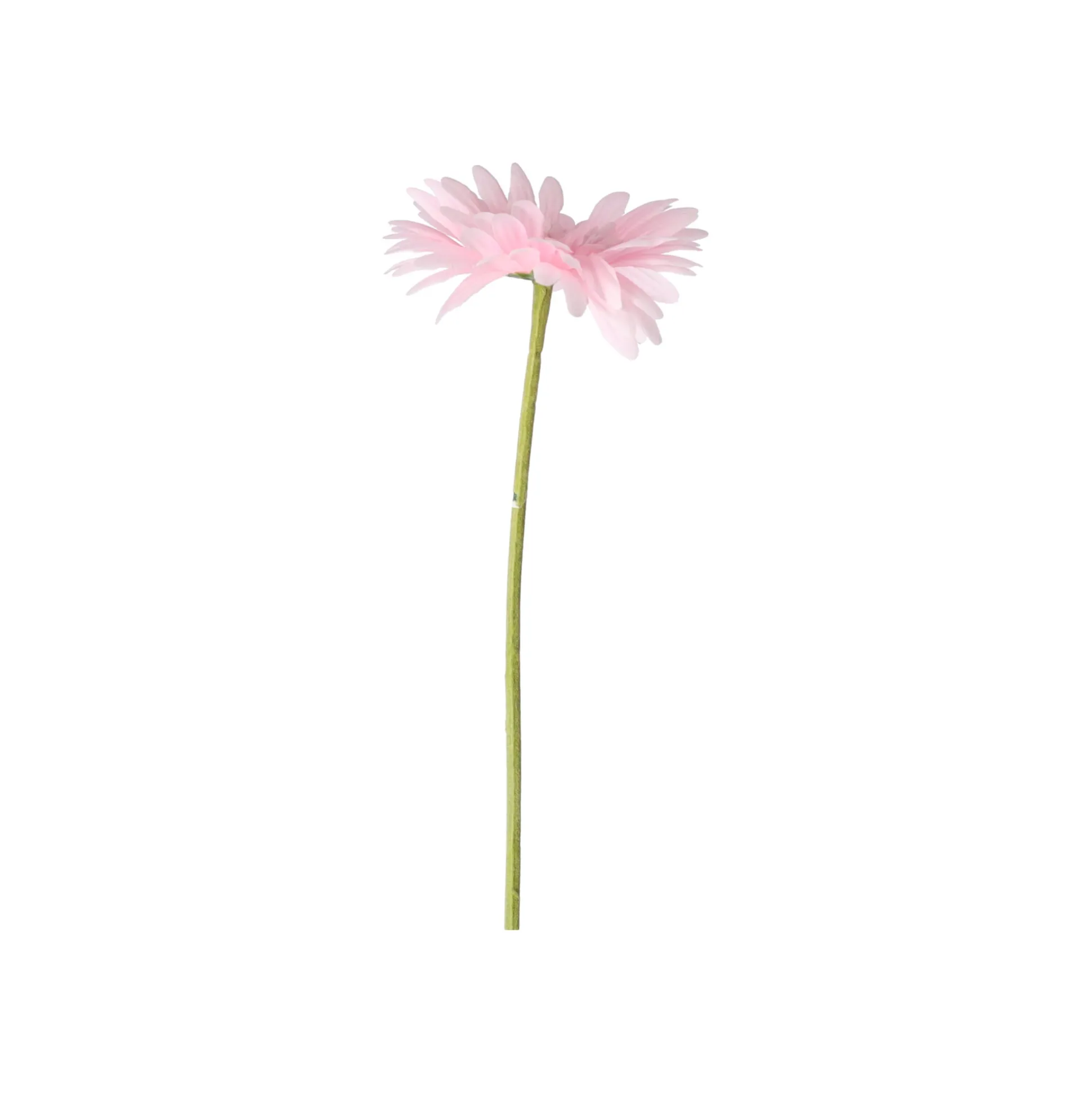 Gerbera roze 50 cm