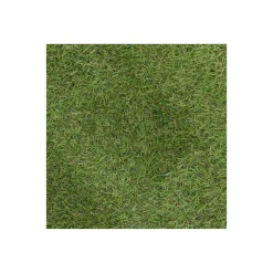 Grastapijt Carrow Road 2x4M