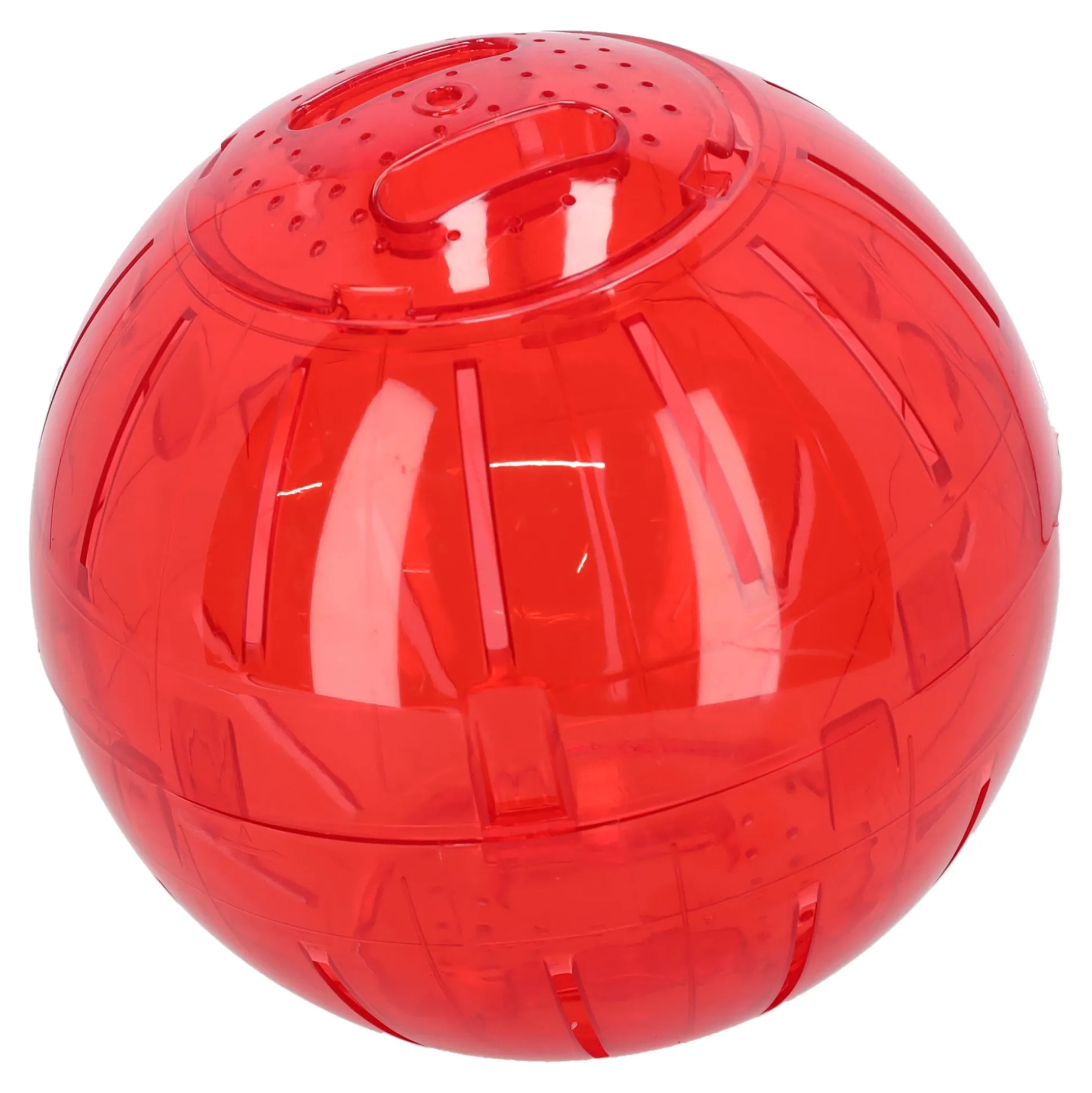 Hamsterspeelbal neon