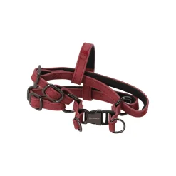 Harnas Delu rood XS 30-35cm 10mm