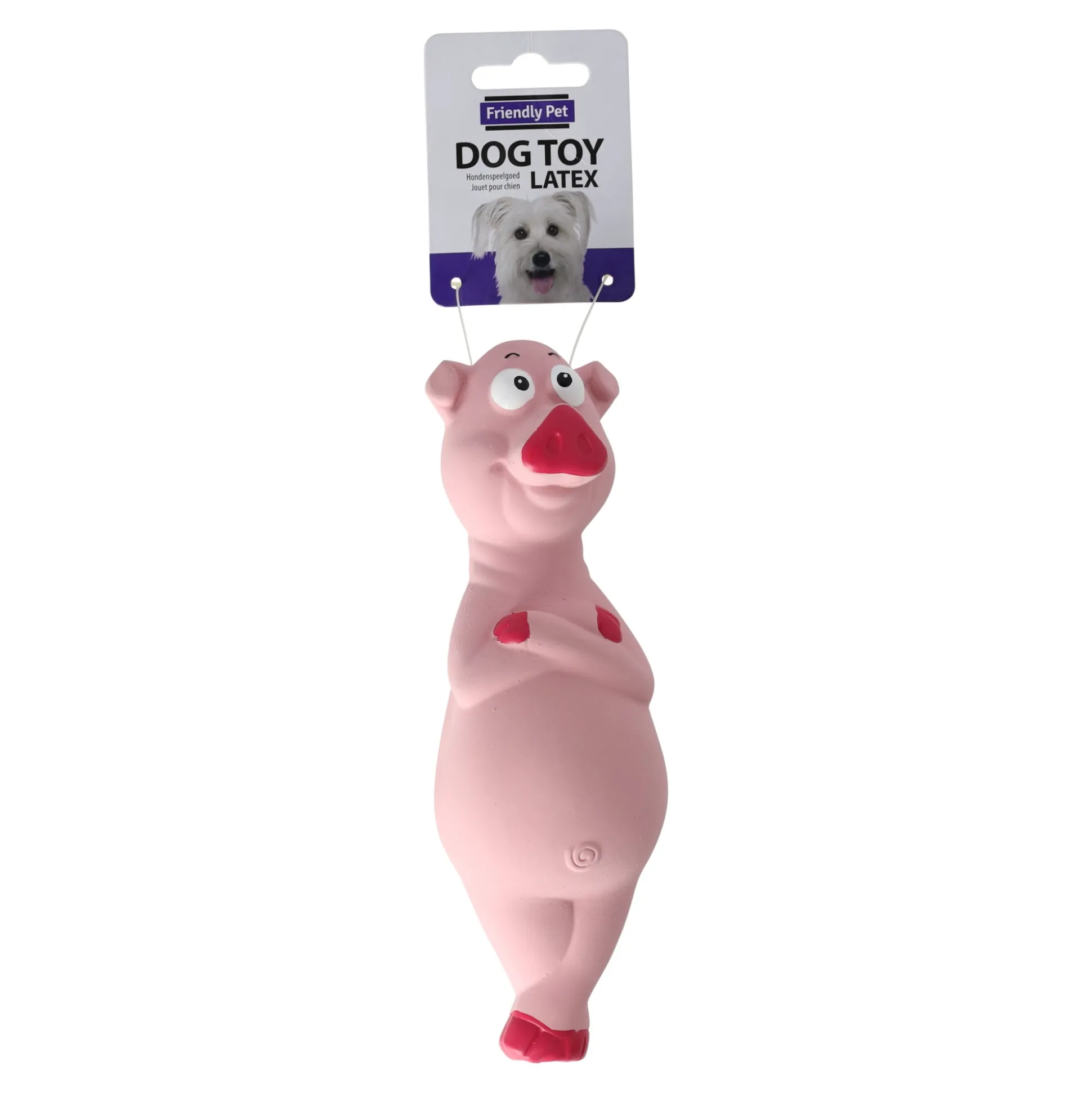 Hondenspeelgoed varken squeaky 21cm