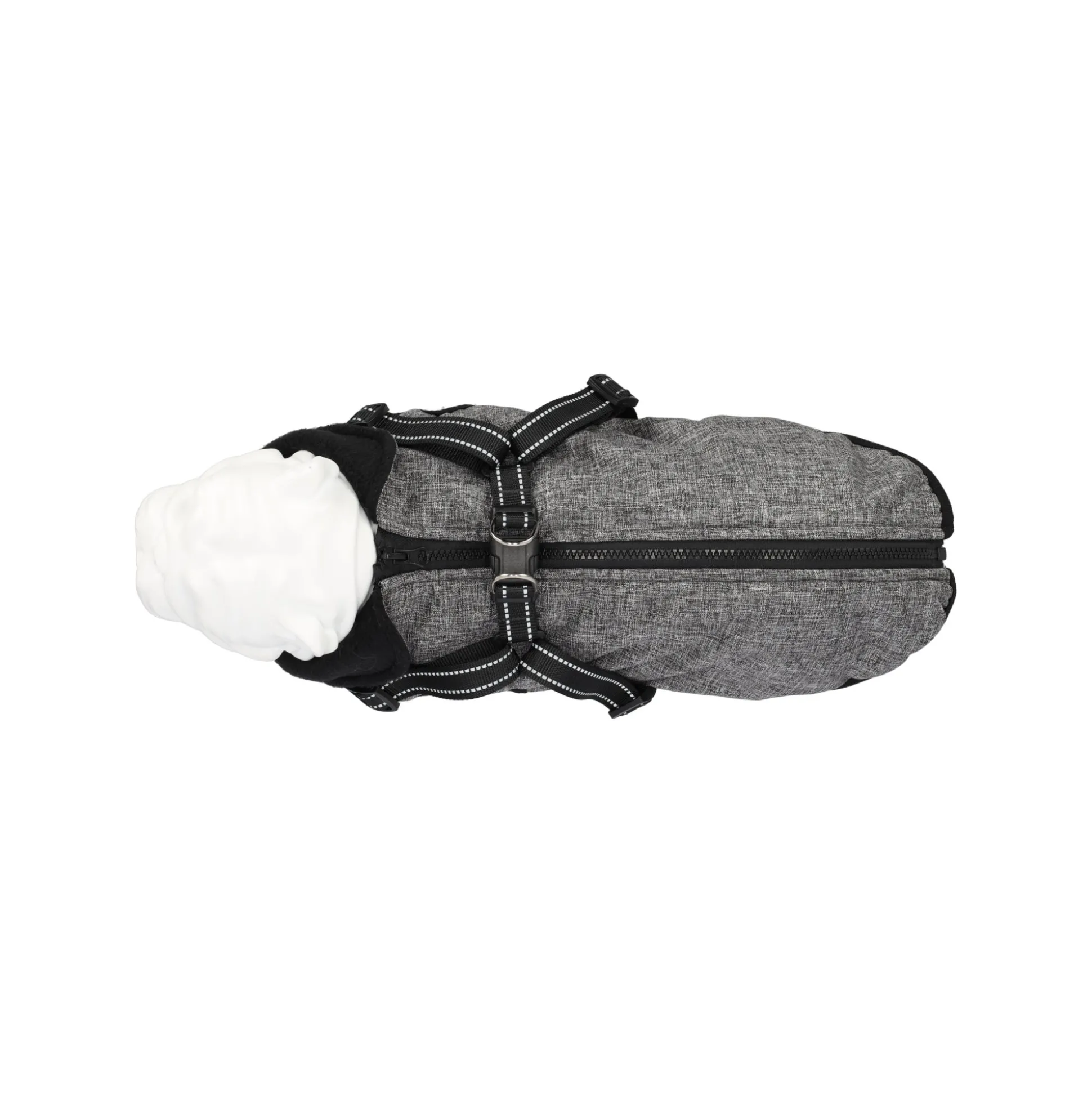 Jas hond Bodhi antra 25cm
