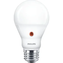Lamp LED bol mat dag/nacht 60w E27