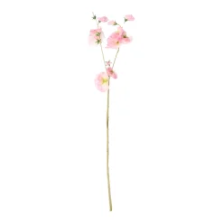 Lathyrus op steel roze 60 cm