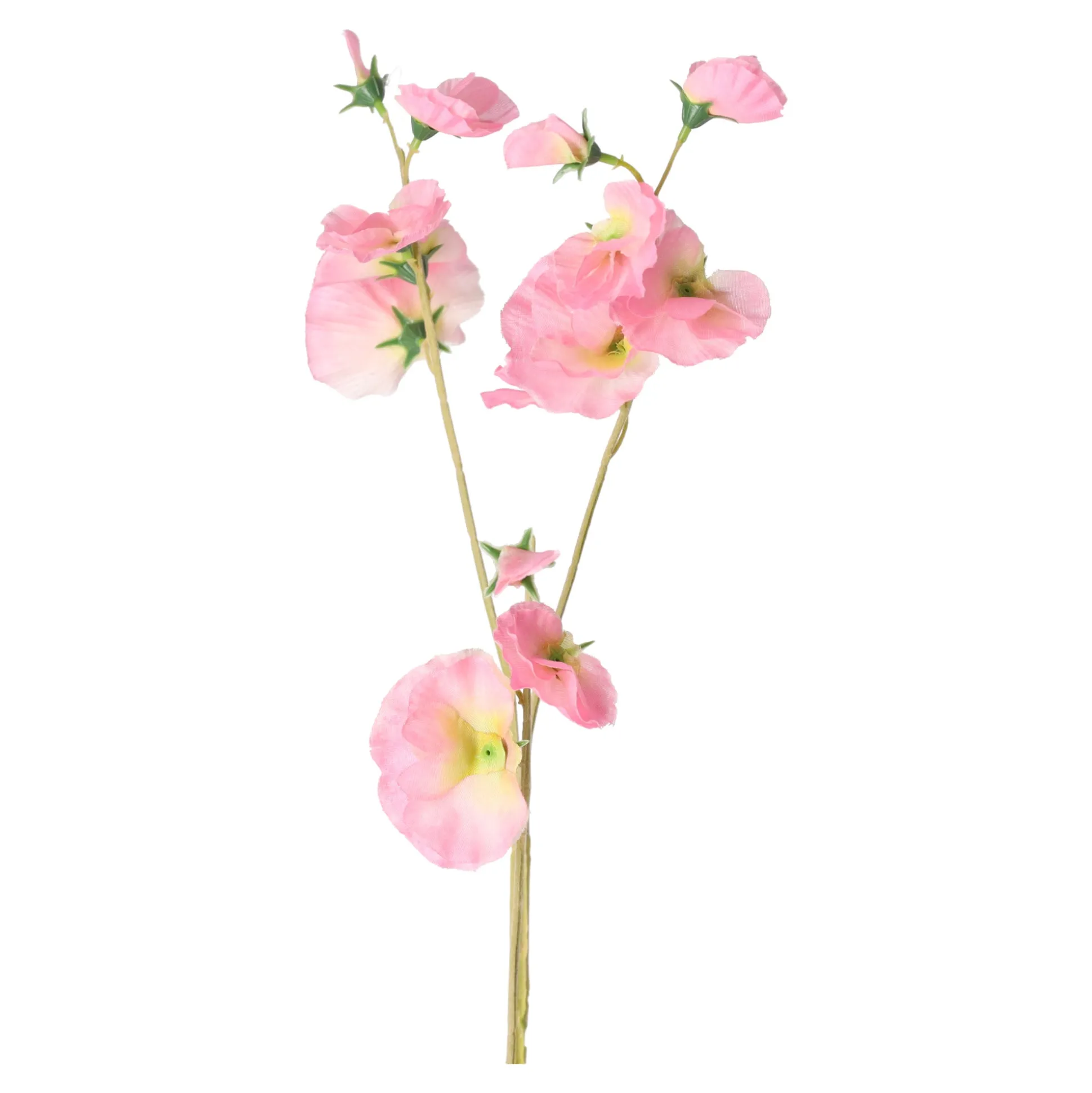 Lathyrus op steel roze 60 cm