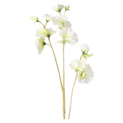 Lathyrus op steel wit 60 cm