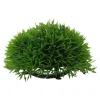 Plant aquarium halve mosbal 12cm