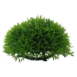 Plant aquarium halve mosbal 12cm