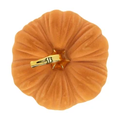 Pompoen bruin 21x15cm