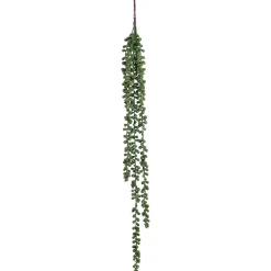 Senecio hangend 71 cm groen