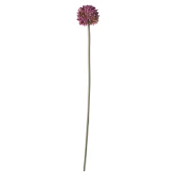 Sierui 55 cm roze