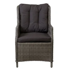 Stoel Carano Willow Grey Bois le Duc