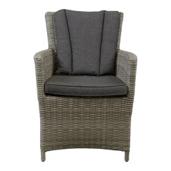 Stoel Sauro willow grey met kussen