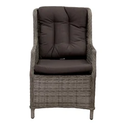 Stoel Venini Willow Grey Bois le Duc