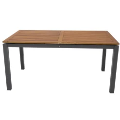 Tafel Primavera 220x100cm antra