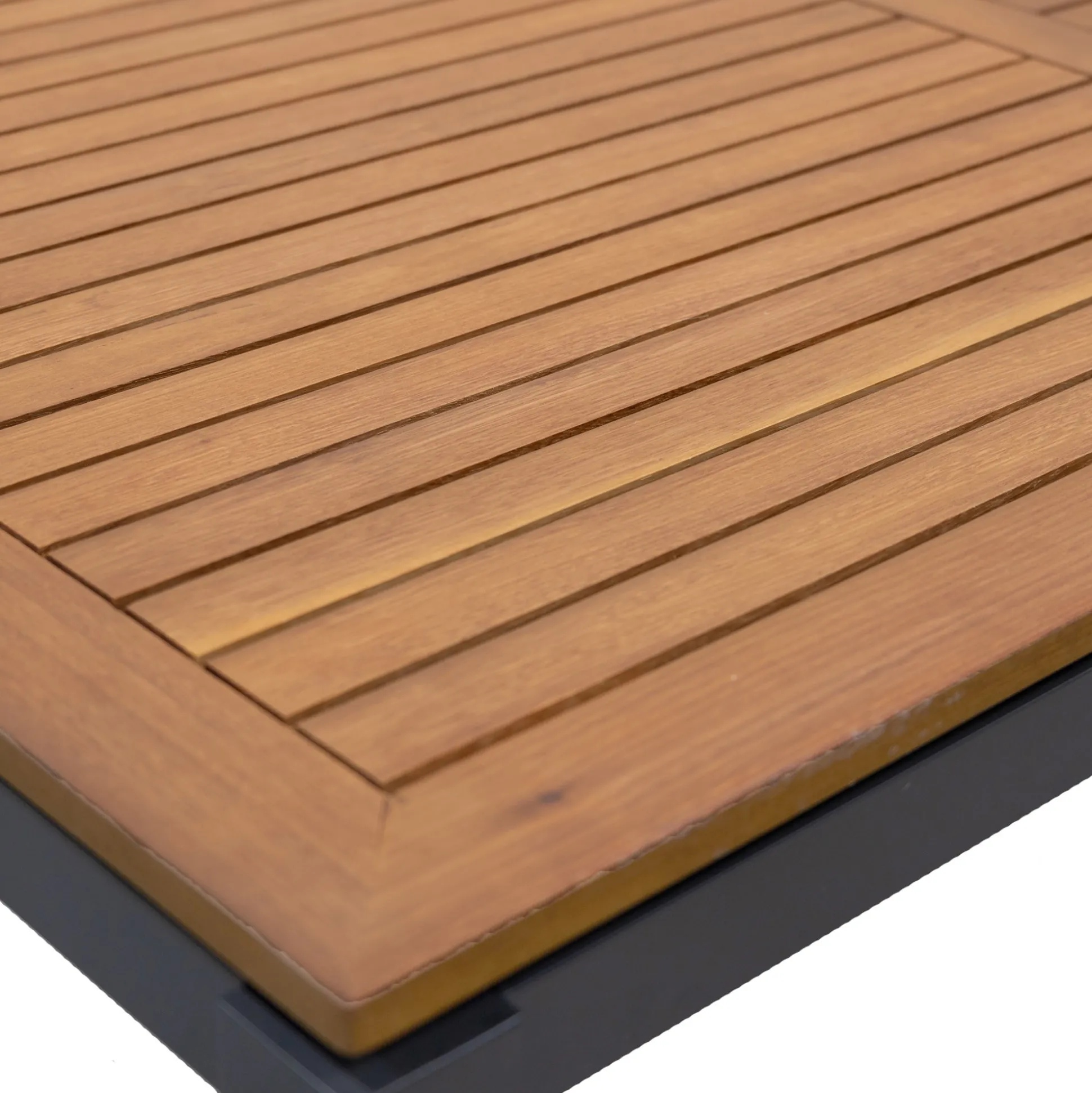 Tafel Primavera 220x100cm antra