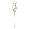 Tak carnation wit 68 cm