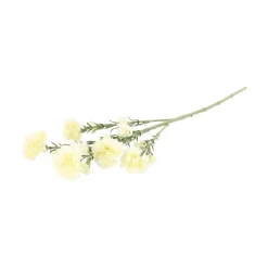 Tak carnation wit 68 cm