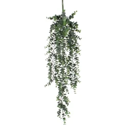 Tak hangend eucalyptus 78 x 22 cm