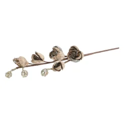 Tak Magnolia 89cm winter lux champagne