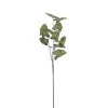Tak Syngonium groen 78 cm