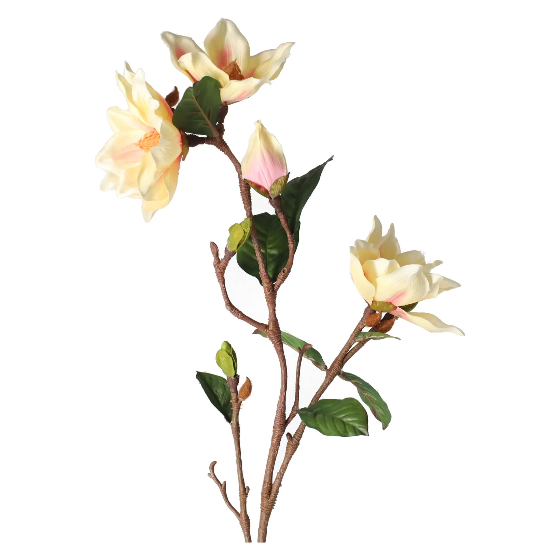 Tak Yulan 103 cm beige