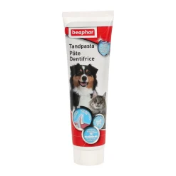 Tandpasta & borstel combipack Beaphar