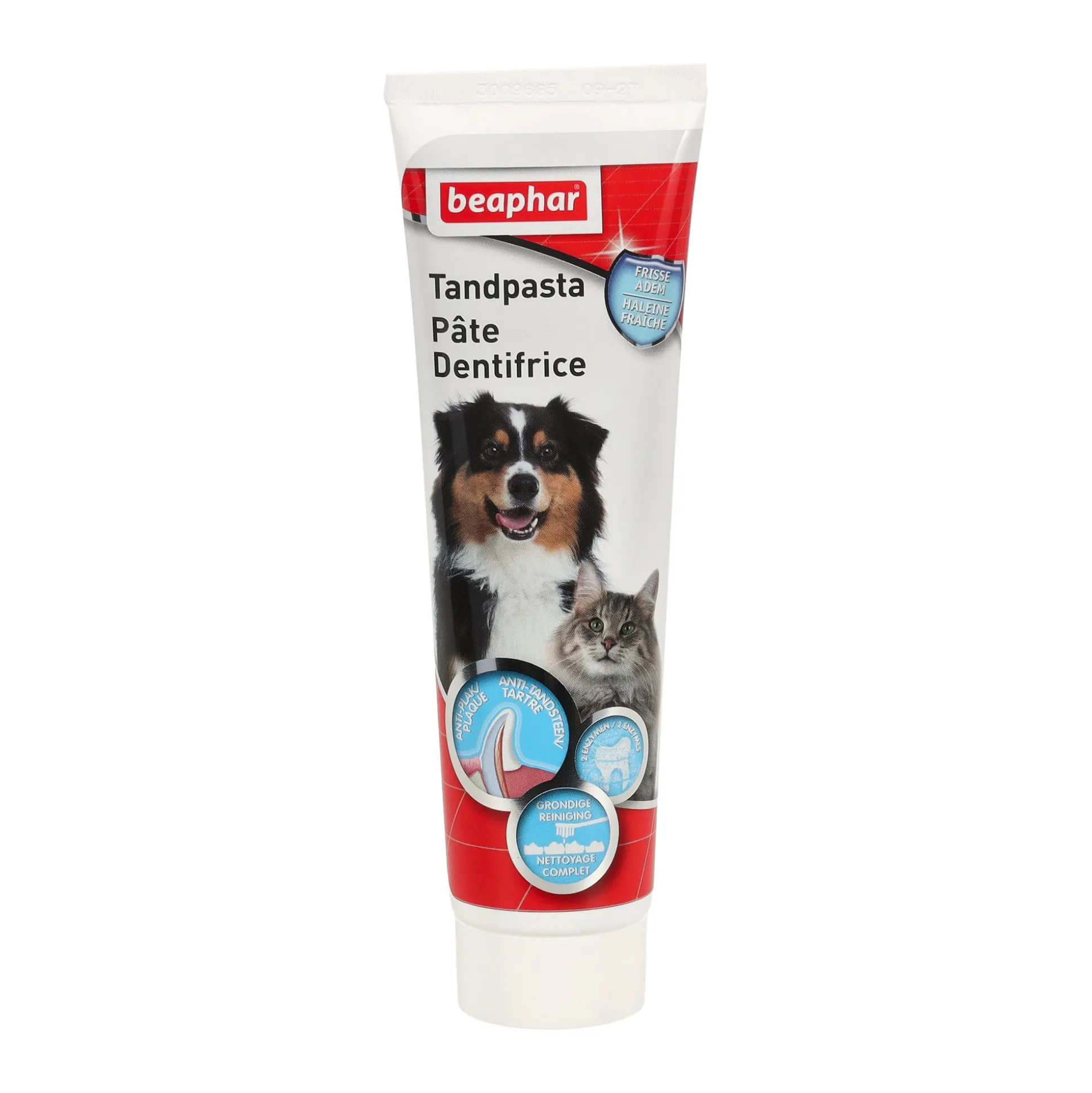 Tandpasta & borstel combipack Beaphar