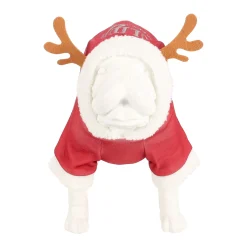 Trui Hond Kerst holidays rood 25cm