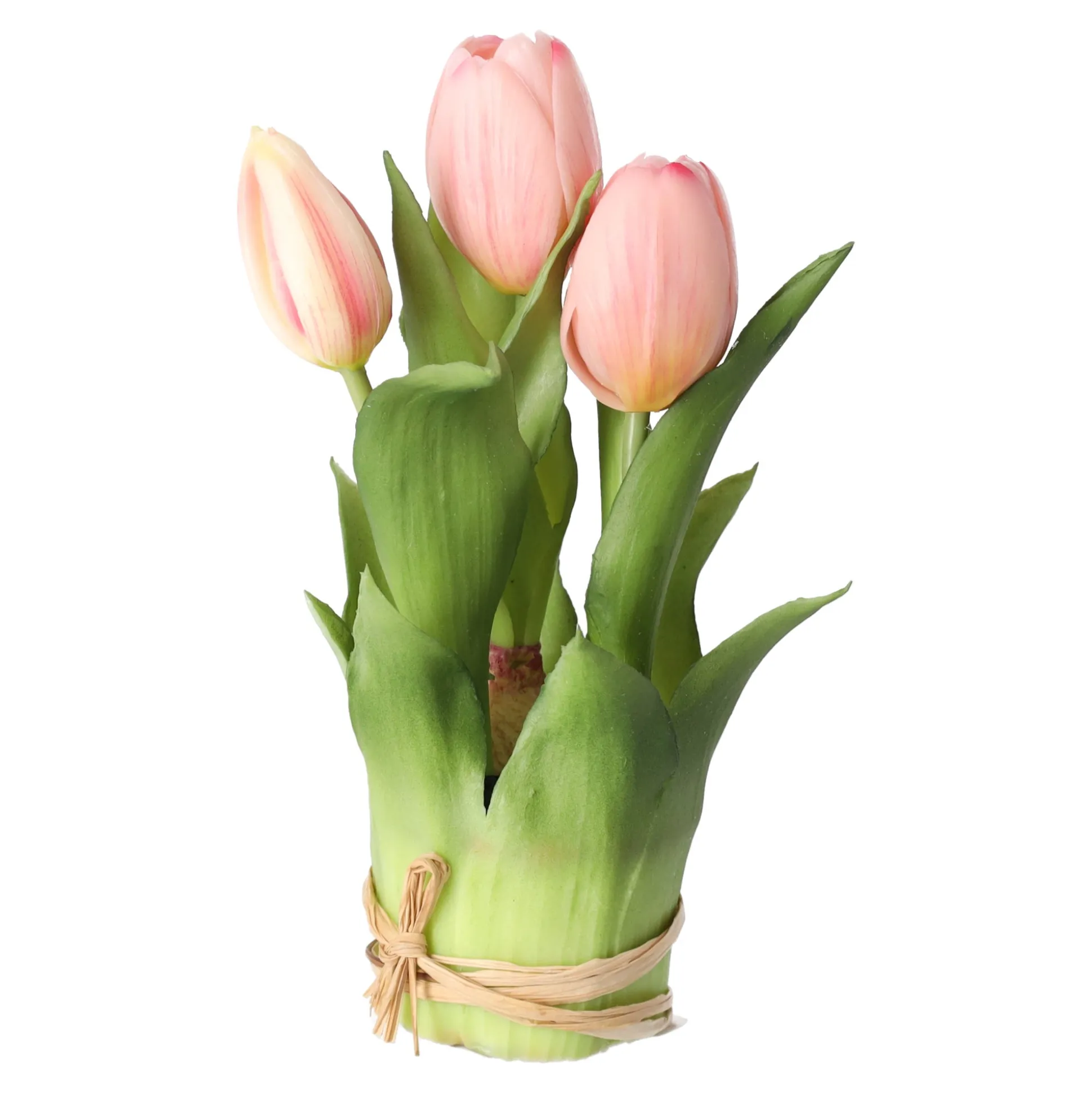 Tulp bosje licht roze 20 cm