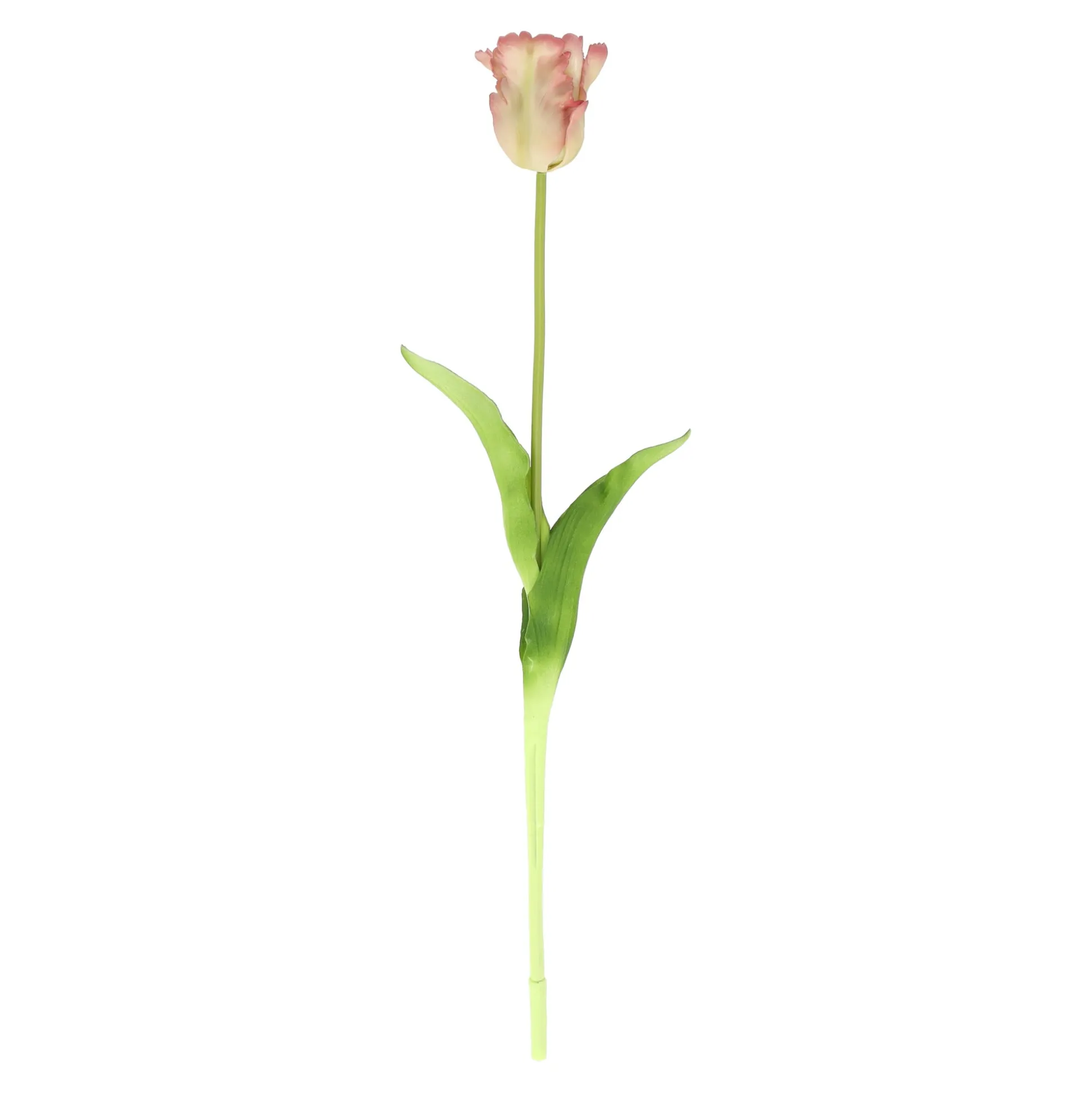 Tulp papegaai real touch 62 cm roze