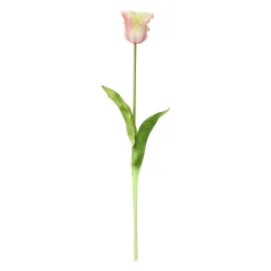 Tulp papegaai real touch 62 cm licht roze