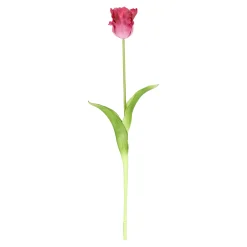 Tulp papegaai real touch 62 cm fuchsia