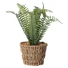 Varen in mand groen 26 x 10 cm