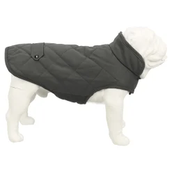 Vest hond Luna grijs 20cm