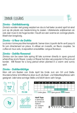 Zinnia Dahliabloemig